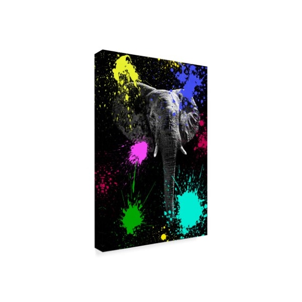 Philippe Hugonnard 'Elephant V' Canvas Art,30x47